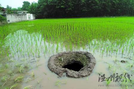 成都大邑縣田間現(xiàn)“天坑” 深度達(dá)5米(圖)