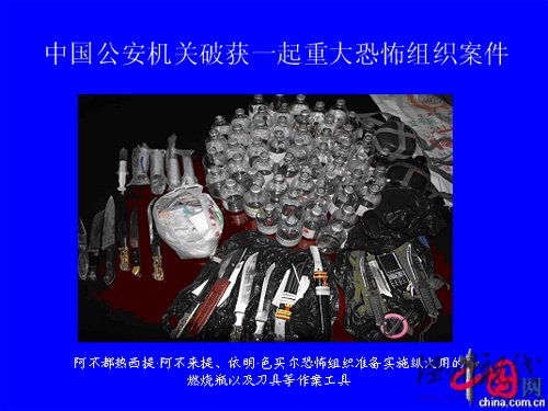 中國破獲新疆恐怖襲擊案 抓捕10余人
