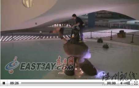 工作人員深夜侵犯美人魚遭全球直播