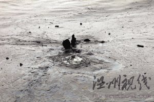 浙江籍攝影師鏡頭里的戰(zhàn)士之死(組圖)
