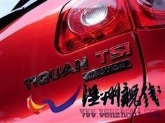 大眾 上海大眾 途觀 2010款 2.0tsi 手自一體菁英版 四驅
