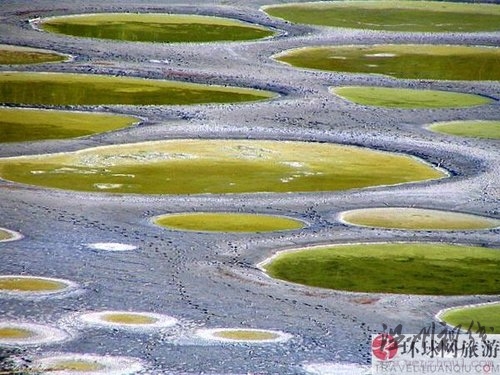 絕美奇觀：加拿大神秘斑點湖(組圖)