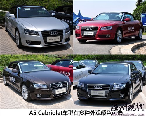 全新車型首次亮相 奧迪A5全系搶先試駕 汽車之家