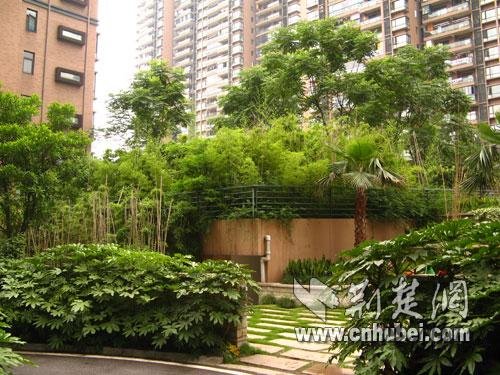 高檔小區剛建5年被迫拆遷原地復建給地鐵讓路