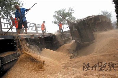 裝有數(shù)十噸小麥大貨車側(cè)翻壓扁夏利車2死3傷