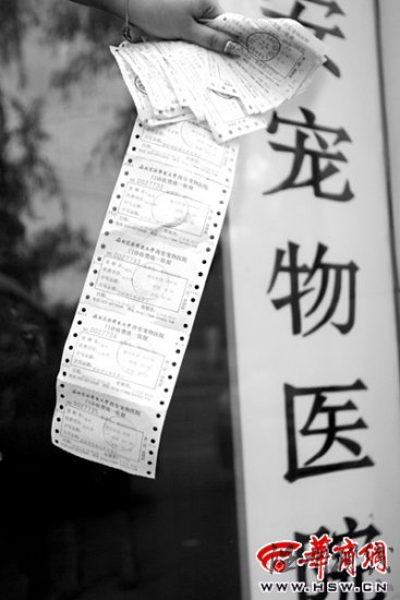 女士給寵物狗做流產花費2800元(圖)