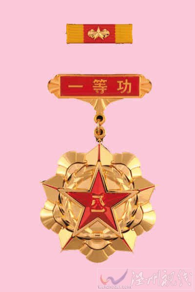 揭秘解放軍新式證章：從原版5枚增為17枚（組圖）