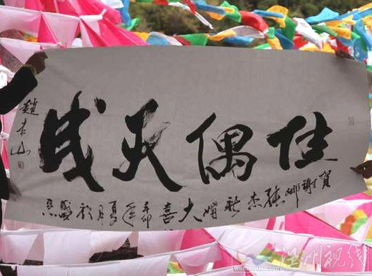 趙本山書法