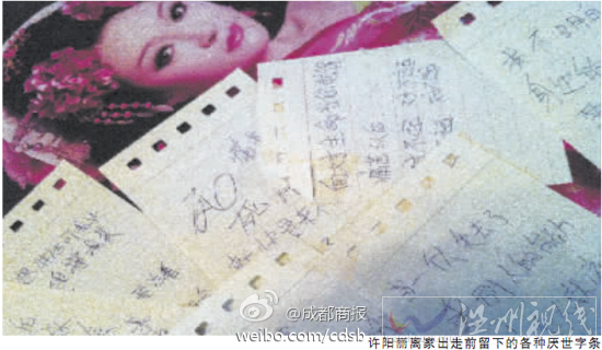 許陽麗照片