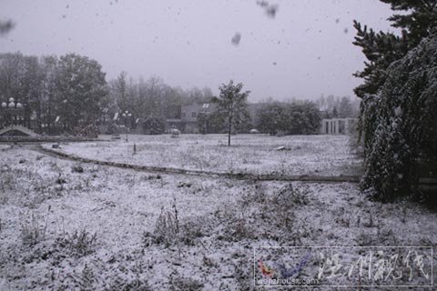 新疆昭蘇地區迎來今冬首場大雪（組圖）