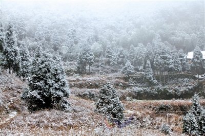 2011年的第一場雪