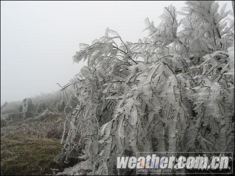 貴州威寧今冬出現(xiàn)12個凍雨日 超常年同期值