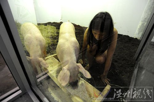 女行為藝術家玩另類：與豬裸睡
