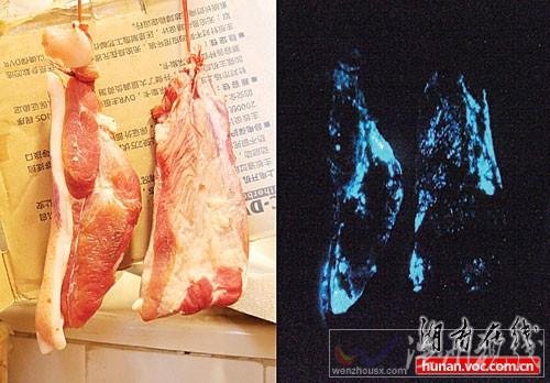 豬肉半夜發藍光