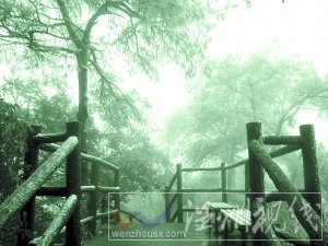 冷啊 縉云山又下雪了