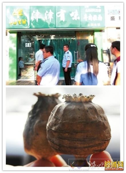 市場驚現罌粟拉面 面館里發現完整罌粟(圖)
