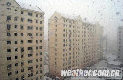 山東半島雪花飛舞 威海北部已出現(xiàn)道路結(jié)冰