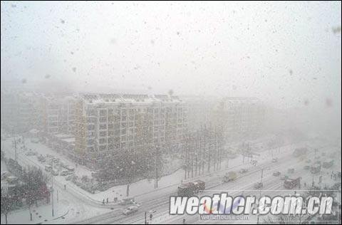 山東半島雪花飛舞 威海北部已出現(xiàn)道路結(jié)冰