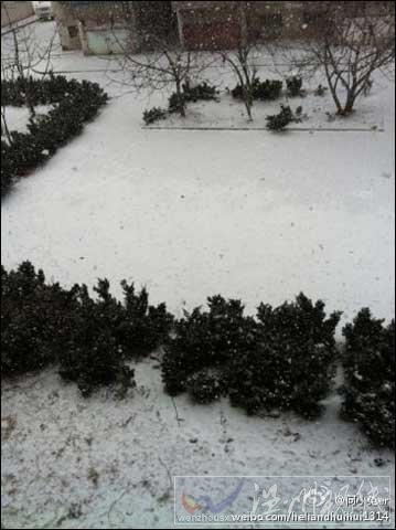山東近期持續低溫降雪 蔬菜價格上揚