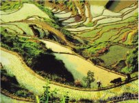 云中大漈景區 浙江省景