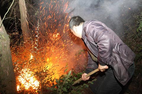 湖南漣源發(fā)生森林大火 過(guò)火面積近200畝(圖)