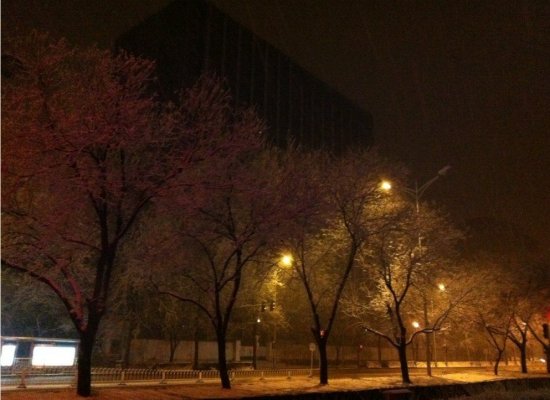 北京三月飛雪
