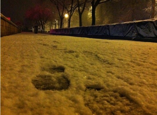 北京三月飛雪