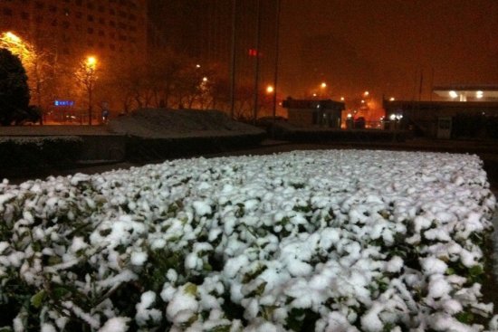 北京三月飛雪