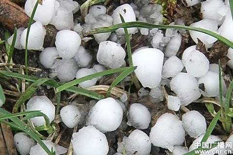 新疆哈巴河縣遭暴雨冰雹襲擊