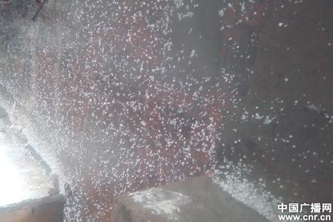 新疆哈巴河縣遭暴雨冰雹襲擊