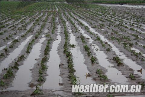 遼源28日出現(xiàn)短時強降雨 市區(qū)低洼路面積水（圖）