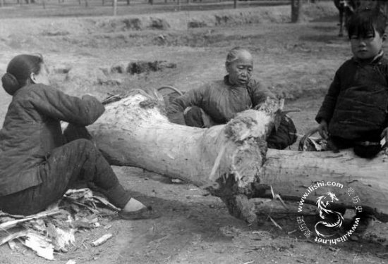 1942年河南大饑荒的真實場景