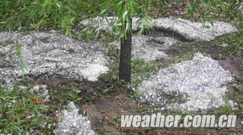 黑龍江樺南出現(xiàn)暴雨冰雹大風(fēng)天氣 農(nóng)田受災(zāi)