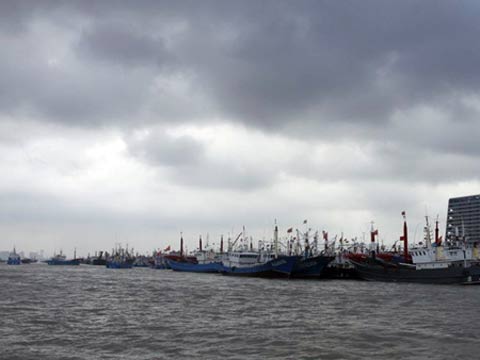 臺風海葵對浙江交通影響 浙江臺風海葵