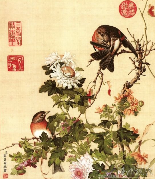 寒露節(jié)氣養(yǎng)生