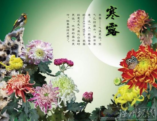 二十四節氣寒露節氣由來