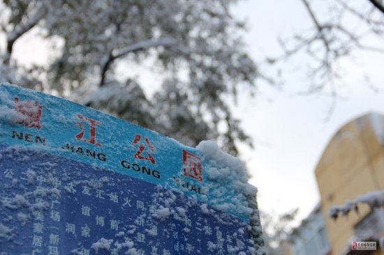 齊齊哈爾下雪了