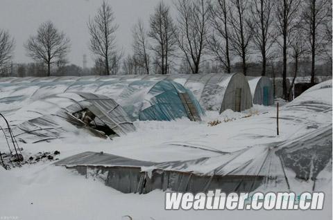 錫林浩特大雪