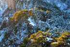 安徽黃山風景區(qū)雪霽初晴