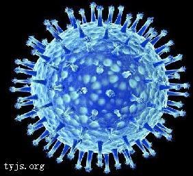人感染高致病性禽流感誘因甲型流感Ｈ５Ｎ１病毒