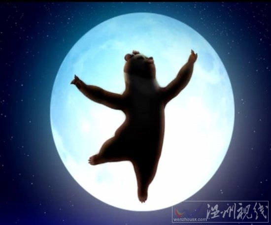 國產(chǎn)動漫熊出沒73集 扭秧歌
