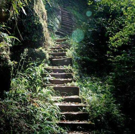 重慶愛情天梯旅游景點(diǎn)