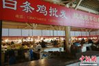江蘇禽流感最新消息