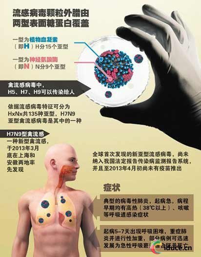 h7n9診療方案