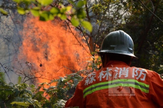 溫嶺山火