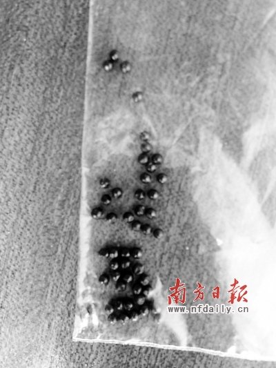 陸豐村官向村民開槍
