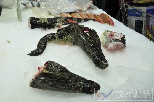超市賣鱷魚肉圖片