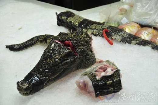 鱷魚肉營養價值豐富 價格不低