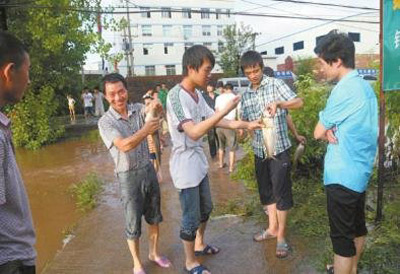 四川達州暴雨致萬斤魚兒游上公路 市民停車撿魚