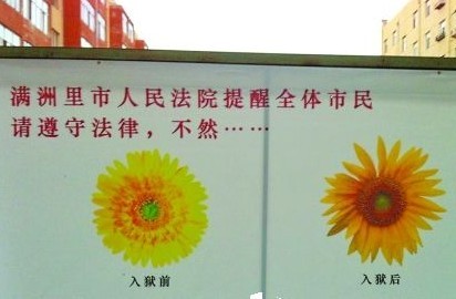 滿洲里法院宣傳畫